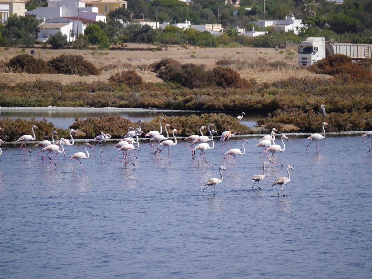 Tavira Nomad Guesthouse Esterno foto